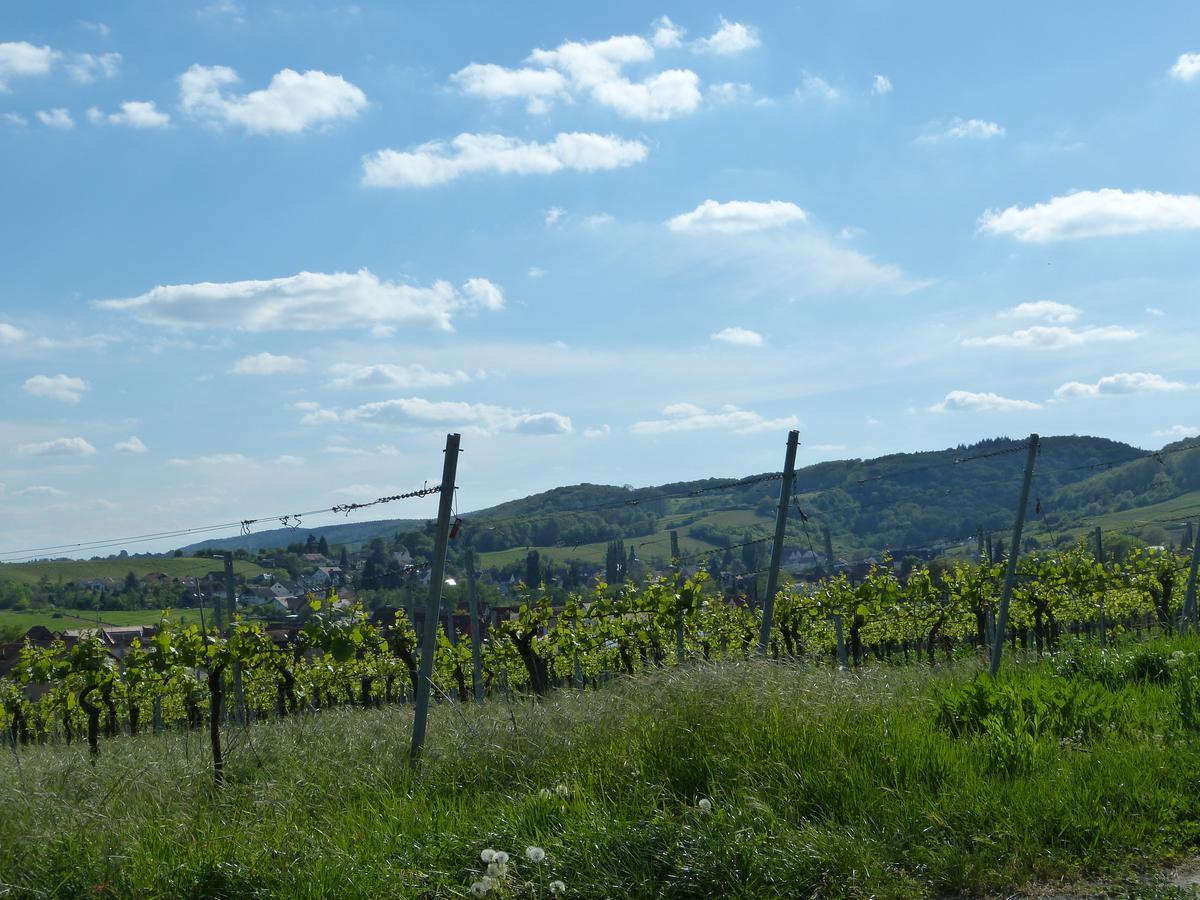 Gaestehaus Annel Niederhorbach Exteriör bild
