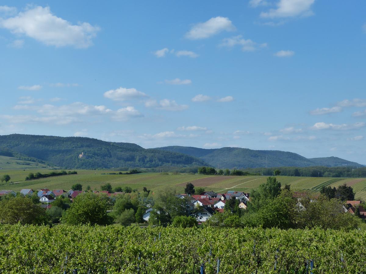 Gaestehaus Annel Niederhorbach Exteriör bild