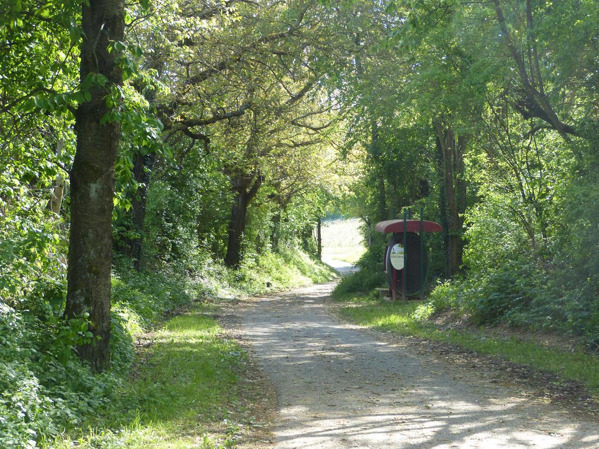 Gaestehaus Annel Niederhorbach Exteriör bild