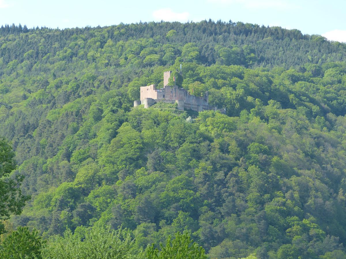 Gaestehaus Annel Niederhorbach Exteriör bild